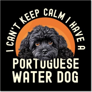 I Can't Keep Calm I Have A Portuguese Water Dog Posters and Art